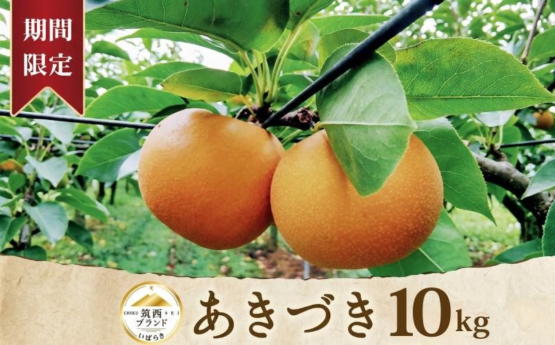 
                  梨 あきづき 10kg （16～28玉） 1箱 なし ナシ 10キロ あきづき梨 秋月 旬の梨 ブランド 和梨 赤梨 果実  甘み ジューシー 品種 果肉 果汁 たっぷり ずっしり 果物 くだもの デザート フルーツ fruit nasi 先行予約 人気 おすすめ 特産品 茨城県産 JA 北つくば 関東 茨城 筑西
                