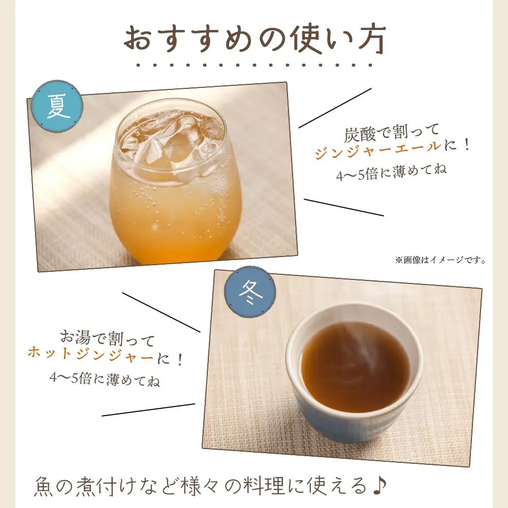 【定期便／年2回お届け】 香南市ジンジャーシロップ 生姜 (150ml)×3本セット 定期便 Wyr-0128