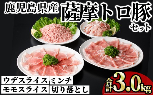 
                  鹿児島県産薩摩トロ豚モリモリおためしパック (合計3kg) 小分け 冷凍 スライス ひき肉 ミンチ モモ ウデ 切り落とし【KNOT】A1040
                