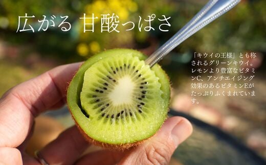 画像はイメージです。返礼品以外のものは含まれません。