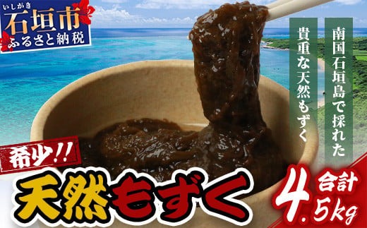 石垣島産天然もずく10パック・内容量450g×10 合計4.5kg 2025年新もずく《2025年3月上旬～順次発送》【 沖縄県 石垣市 天然 水雲 海藻 もずく フコイダン 常温保存 塩もずく 】SI-64