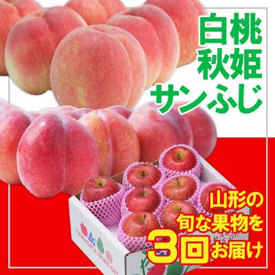 ふるさと納税 山形市 【定期便3回】☆フルーツ王国山形☆白桃・すもも秋姫・りんご FY25-054