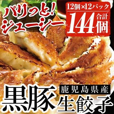 ふるさと納税 いちき串木野市 【家計応援】鹿児島黒豚生餃子 合計156個(12個×13P)タレ付き!国産野菜使用【60日以内配送】