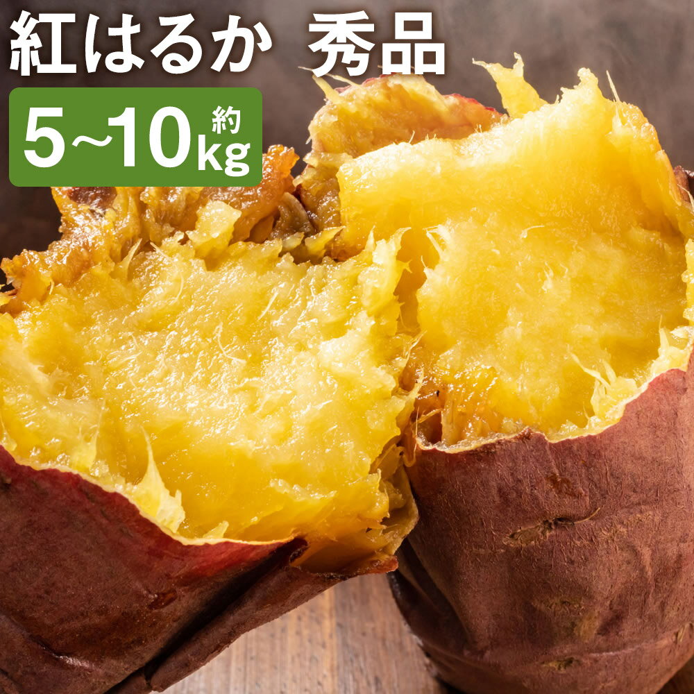 【ふるさと納税】紅はるか 秀品 約5kg/約10kg 選べる内容量 S〜2L混合 さつまいも 芋 紅蜜芋 焼き芋 野菜 菊池市産 熊本県産 九州産 送料無料《90日以内に発送予定（土日祝を除く）》