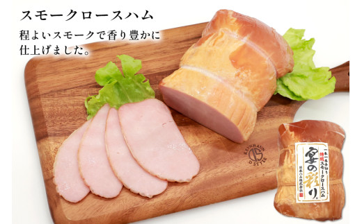 ハム 宴の彩り 2種 詰め合わせ 食べ比べ 計1.22kg [日本ハムマーケティング 宮崎県 日向市 452060590] ニッポンハム はむ 豚 肉 ロースハム ステーキ ギフト 真空 冷蔵