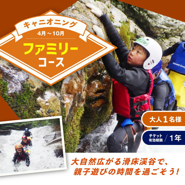 【ふるさと納税】キャニオニング　ファミリーコース（4月～10月）大人1名様 チケット有効期限1年 ◇ | アクティビティ 遊び 体験 フォレストキャニオン