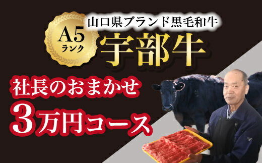 【ふるさと納税】【宇部牛】社長おまかせ ＜3万円コース＞ 黒毛和牛 A5ランク 宇部牛　山口県 宇部市 こだわり ブランド 希少部位 骨付き 焼肉 すき焼き BBQ しゃぶしゃぶ ステーキ お祝い イベント クリスマス お誕生日
