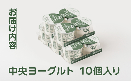 中央製乳 中央ヨーグルト2p 10個セット こだわり なめらか おやつ デザート 乳製品 乳酸菌 健康 腸活 ロングセラー 愛知県 豊橋市