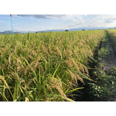 ふるさと納税 横手市 「作り手の顔が見えるお米」秋田県産あきたこまち玄米30kg(令和7年産) |  | 03