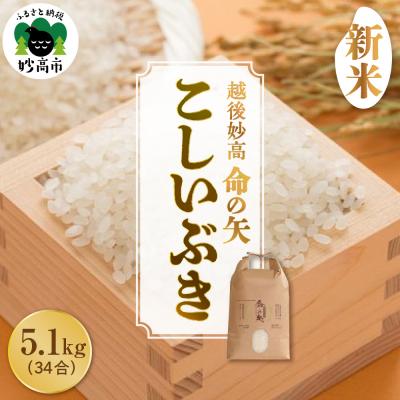 ふるさと納税 妙高市 【先行受付】令和8年産 越後妙高命の矢 こしいぶき 5.1kg