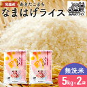 【ふるさと納税】R6年度産 先行予約 【あきたこまち】なまはげライス無洗米5kg×2袋/計10kg　 精米 お米 あきたこまち 米 秋田県産 キャンペーン