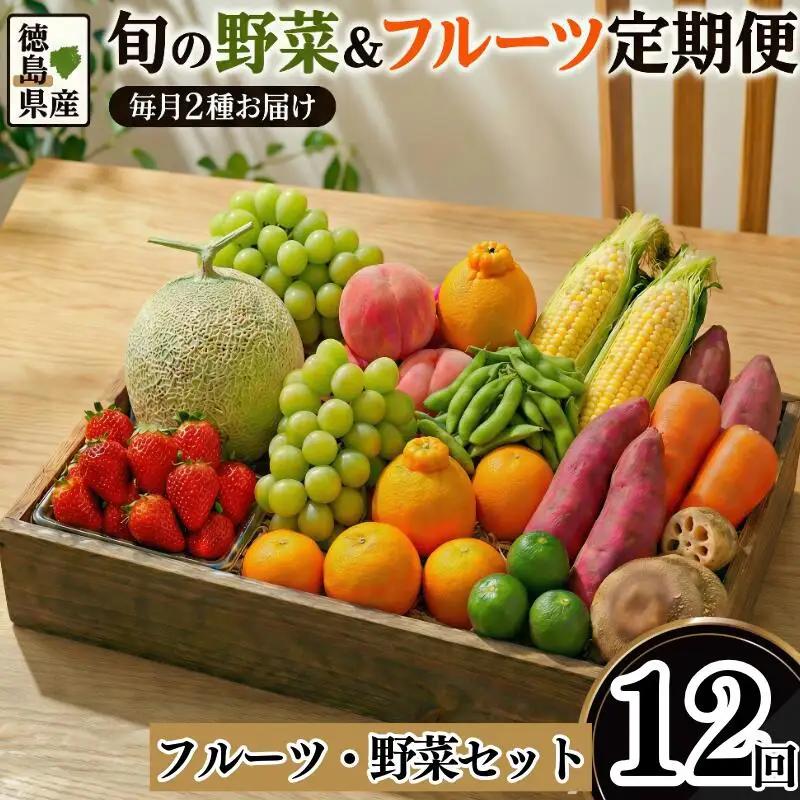 フルーツ 野菜 定期便 12回 定期