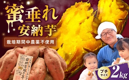 【熟成】さつまいも プチサイズ 安納芋 2kg さつまいも サツマイモ 薩摩芋 いも 芋 ほくほく 産地直送 野菜 季節の野菜 旬 直送 滋賀県長浜市/好作豊吉 [AQCF001]