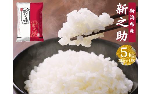 【令和7年産】新潟産 新之助 5kg 米 こめ コメ 精米 白米 【大人気のため予告なしに受付休止・再開します】1N01013