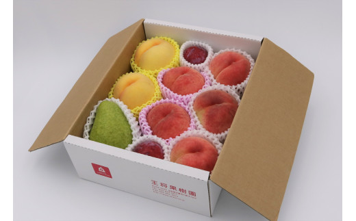 08-03-009　季節のフルーツ詰合せ(8月分)約2.5kg