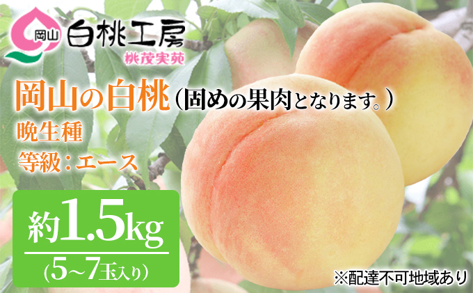 固めの 桃 2026年 先行予約 白桃 晩生種 等級 エース 約1.5kg 5～7玉 もも モモ 岡山 国産 フルーツ 果物 桃茂実苑 