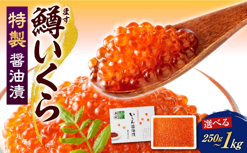 
                  【選べる内容量】えりも【マルデン特製】鱒いくら醤油漬250g～1kg / いくら 醤油漬け 鱒 ます 北海道 日高昆布 根昆布だし 昆布だし 特製 調味液 海鮮丼 ご飯のお供 お取り寄せ グルメ ギフト 贈り物 高級 国産 まろやか コク 風味 魚卵 海鮮 ご当地 お土産 おつまみ 丼もの 朝食 冷凍
                