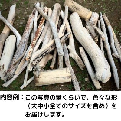 ふるさと納税 北見市 雰囲気の出る美しい流木　大中小サイズ混合　約5kg |  | 01