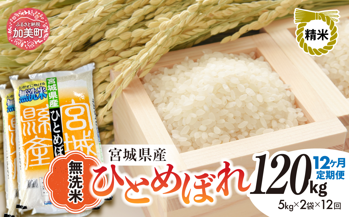 【12回定期便】R8宮城県産 ひとめぼれ 無洗米10kg×12回 ｜ 菅原精米工業 宮城県 加美町 sw-hb10-mu-t12-r8 ｜ ヒトメボレ 米 コメ お米 ごはん | sw-hb10-mu-t12-r8