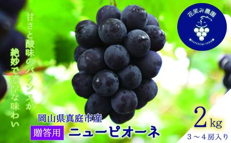 【2025年先行予約】　岡山 花笑み農園『ニューピオーネ』約2kg(3房から4房) P-2 ぶどう ブドウ 葡萄 岡山 ピオーネ 先行予約 フルーツ 果物 真庭市 濃厚【hana06-2】