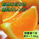 【ふるさと納税】【2025年3月上旬～発送】有田育ちの完熟清見オレンジ(ご家庭用)　選べる容量！ / みかん ミカン 柑橘 清見 きよみ オレンジ フルーツ 果物 旬※北海道・沖縄・離島配送不可