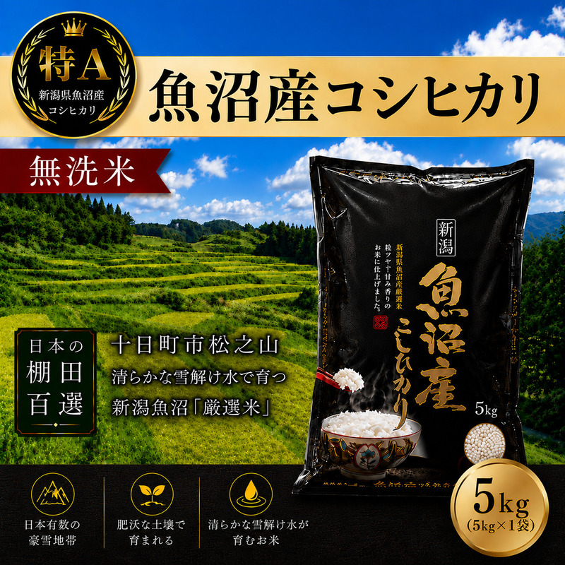【令和7年産】【食味鑑定士厳選】日本棚田百選のお米 無洗米 天空の里 魚沼産 こしひかり 5kg×1