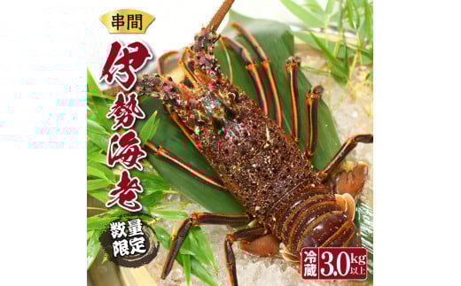 L-E1 ＜期間・数量限定＞串間市産！天然イセエビ 3kg以上【串間市漁業協同組合】