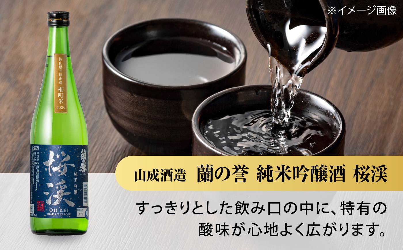 【びんご圏域連携】日本酒 備後の日本酒 純米吟醸酒 飲み比べセット 広島県福山市/株式会社斎藤商店 酒 日本酒 飲み比べ セット [BADI001]