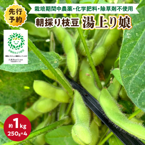 【数量限定】朝採り枝豆（湯上り娘）1kg（250g×4パック）（栽培期間中農薬・化学肥料・除草剤不使用）（2027年7月上旬～発送） おつまみ 農家応援 京都産 えだまめ 朝採れ 農家直送
