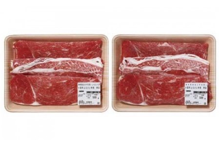 【矢野畜産】産地直送 詰め合わせBセット 切り落とし 500g すき焼き しゃぶしゃぶ 500g 計1kg くまもと 国産 熊本 阿蘇 和牛 あか牛 褐毛和種 あかげわしゅ 赤身 旨み凝縮 矢野畜産 