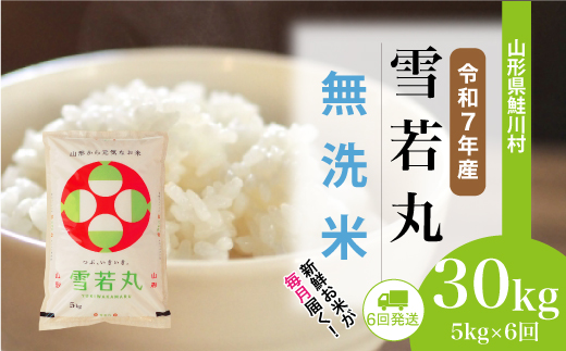 ＜令和7年産米＞ 令和8年4月上旬より配送開始 雪若丸【無洗米】30kg定期便 (5kg×6回)　鮭川村