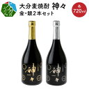 【ふるさと納税】焼酎 麦焼酎 セット 大分 本格麦焼酎 神々2本セット 30度 25度 温泉水 お酒 酒 水割り お湯割り ロック まろやか スッキリ 味わい パッケージデザイン 24金 プラチナ 使用 プレミアム仕上げ ギフト ギフトセット 贈り物 プレゼント 父の日 送料無料 H03004