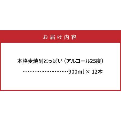 ふるさと納税 国東市 本格麦焼酎「とっぱい」の大盤振る舞い!_29006C |  | 03