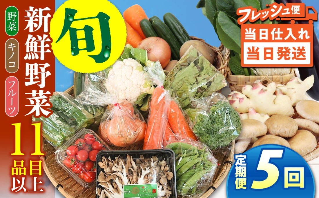 【毎月コース】野菜 キノコ 果物 11品目 詰め合わせ 5回 定期便  / 南島原市 / 吉岡青果[SCZ032]