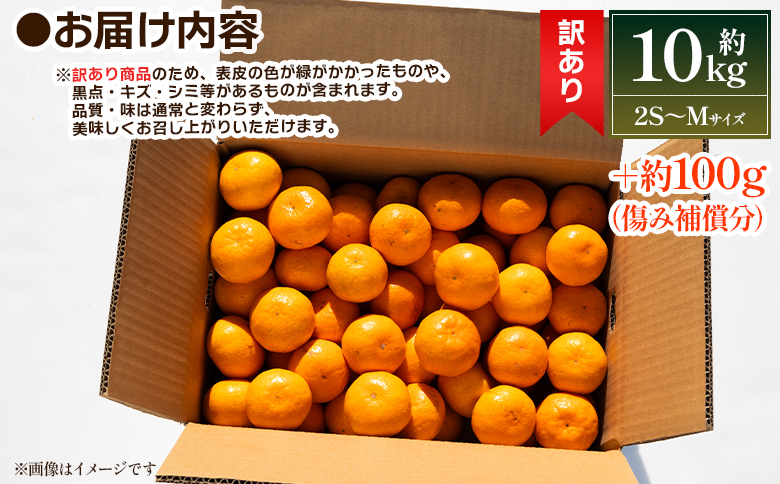 【2025年出荷分】訳あり 露地みかん(2S～Mサイズ) 10kg＋約100g (傷み補償分) 丸萬農園 mn-0005