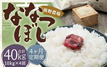 【2026年10月上旬発送開始予定】【4ヶ月定期便】らんこし米 ななつぼし約10kg（約5kg×2袋）
