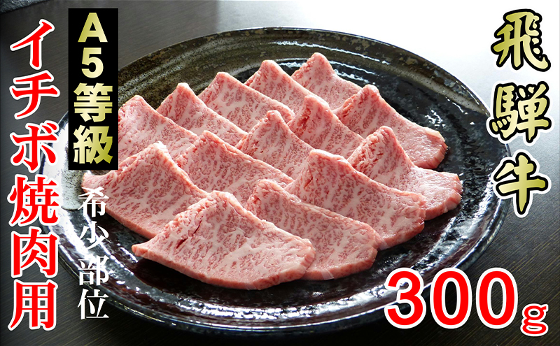 牛肉 飛騨牛 焼肉 希少部位 イチボ 300g 赤身 モモ 黒毛和牛 A5 美味しい お肉 牛 肉 和牛 焼き肉 BBQ バーベキュー 【岐阜県輪之内町】