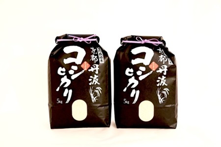 【6回定期便】 京丹波こしひかり 10kg×6カ月連続 合計60kg 令和8年産 [090MB003R]