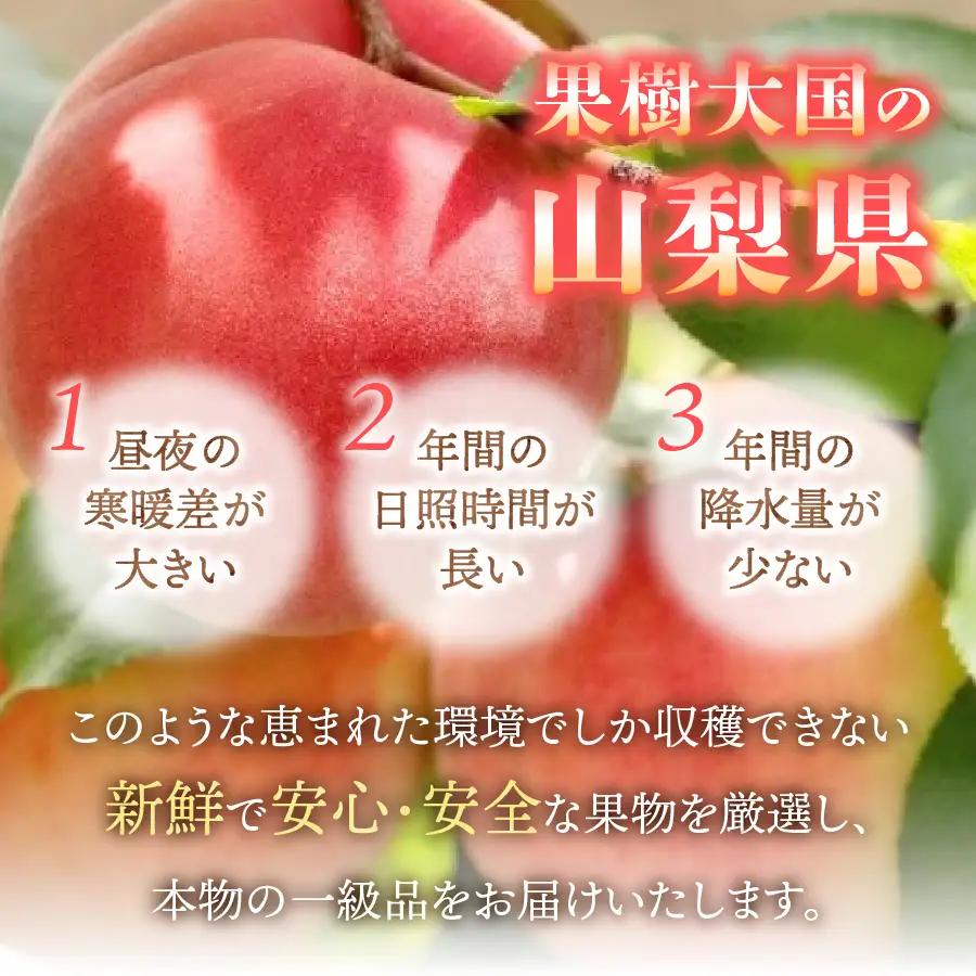 【2026年発送】山梨の朝どれ桃2kg　大玉5玉～7玉  山梨県産 もも フルーツ