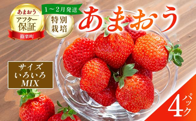 福岡県産 特別栽培 あまおう サイズいろいろMIX 約1140g（約285g×4パック）【1～2月発送】