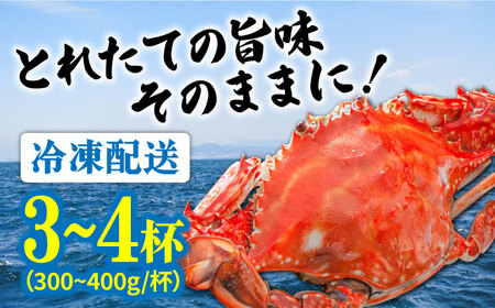 【数量限定】有明海の厳選ワタリガニ 特大サイズ 300g〜400g×3〜4匹 / かに ボイル カニ爪 渡り蟹 / 南島原市 / 長栄丸水産[SFM002]