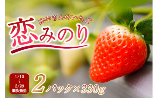 
【中土佐町産】山中さんの「いちご」（恋みのり２パック）
