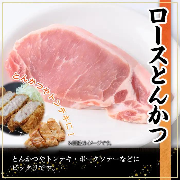 鹿児島県産 豚肉 ロース とんかつ (計3.2kg・100g×32P) 【株式会社羽根】A1083
