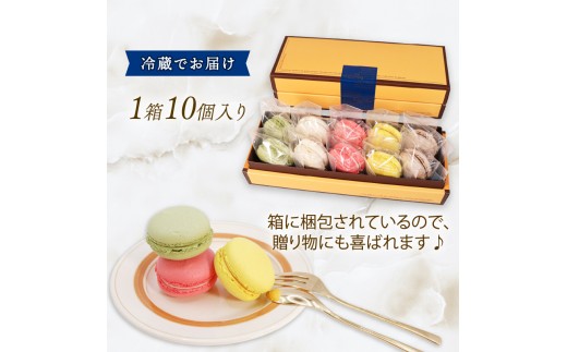 【10月～5月限定】 マカロン詰合せ 10個 ( 抹茶 / バニラ / いちご / レモン / ショコラ ) 各2個 個包装 スイーツ デザート 洋菓子 焼き菓子 贈答 箱入り おやつ ティータイム 西欧菓子 マカロン ご褒美 ギフト プレゼント まかろん まっちゃ 支援 復興 応援 岩手 大船渡 大船渡市 三陸 岩手県