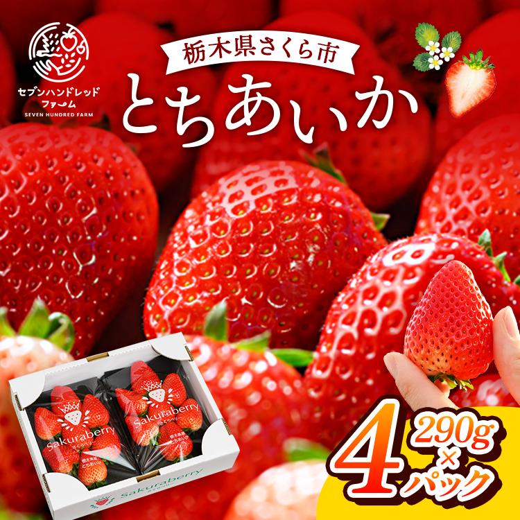 〈数量限定〉【先行予約】さくら市産イチゴ（とちあいか）290g×4パック【先行予約 栃木県 果物 くだもの フルーツ 苺 いちご】 ※2025年12月下旬～2026年3月下旬頃に順次発送予定