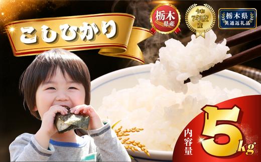 コシヒカリ 5kg | 米 こめ コメ kome 白米 精米 お米 栃木米 ブランド米 栃木県 特産品 送料無料 【栃木県共通返礼品】 栃木県 下野市 しもつけ市