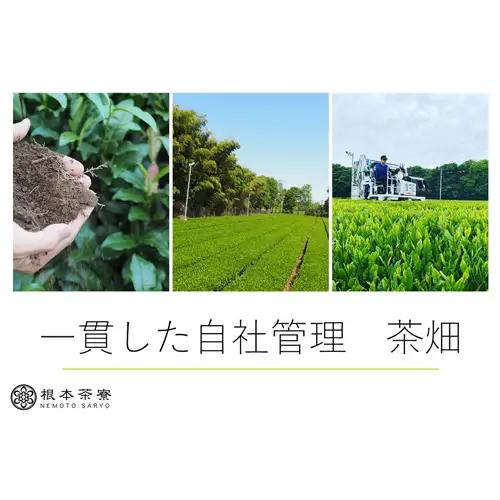 根本茶寮 飲み比べ 3本セット No.035