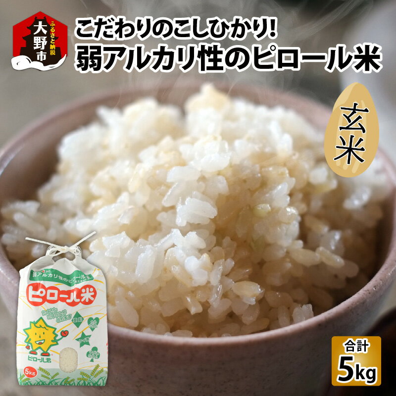 【ふるさと納税】【先行予約】【令和7年産 新米】こだわりの米！弱アルカリ性のピロール米 こしひかり 玄米 5kg [A-009002]