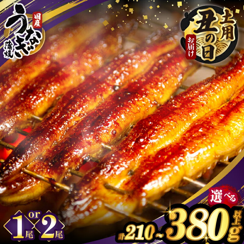 【ふるさと納税】≪内容量・発送時期・定期便2種類が選べる≫ うなぎ 蒲焼 1尾 or 2尾 定期便 国産 ウナギ unagi 宮崎 丑の日 うな重 長焼 ひつまぶし うなぎ長焼 冬うなぎ 小分け 個包装 真空パック 人気 鰻楽 ギフト 贈り物 贈答 お歳暮 リピーター続出 都農町 送料無料