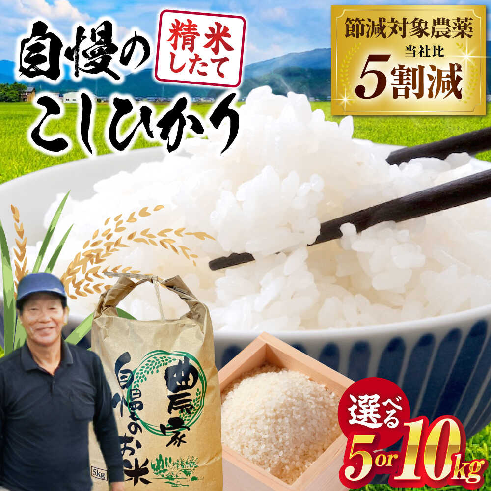 【ふるさと納税】【令和7年産新米】【選べる容量】 環境こだわり米 コシヒカリ 5～10kg 滋賀県長浜市/狩野農園[AQDK001] コシヒカリ こしひかり 米 お米 白米 5kg 10kg 近江米 新米 美味しい ごはん 人気 おすすめ ブランド米 ごはんのお供 5キロ 10キロ